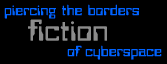 FICTION - piercing the borders of cyberspace